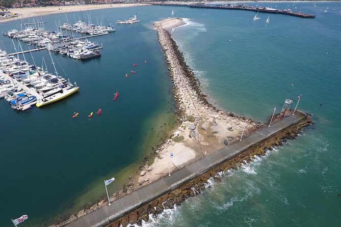 Sea Lion Kayak Tour - Santa Barbara Harbor - Santa Barbara Harbor from a kayak