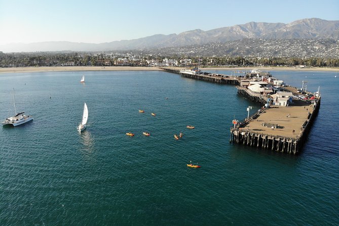 Sea Lion Kayak Tour - Santa Barbara Harbor - Why the guides matter