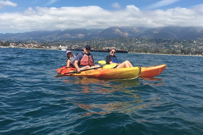 Sea Lion Kayak Tour - Santa Barbara Harbor - Wildlife is possible, not promised