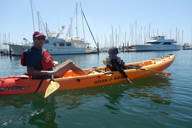 Sea Lion Kayak Tour - Santa Barbara Harbor - Wind, water, and the limits of comfort