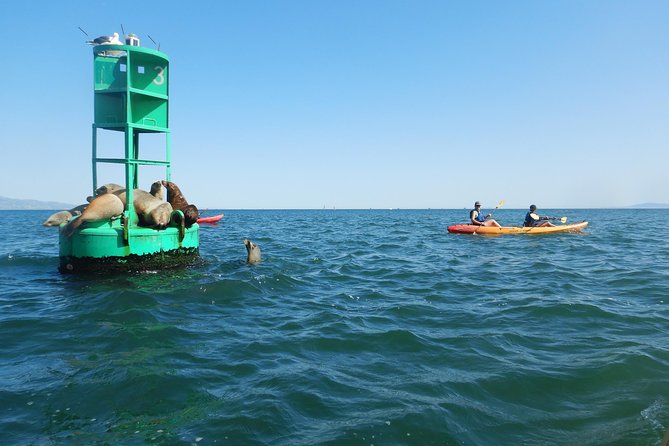 Sea Lion Kayak Tour - Santa Barbara Harbor - Is $70 a fair price?