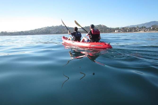 Sea Lion Kayak Tour - Santa Barbara Harbor - Families, solo paddlers, and mixed-age groups