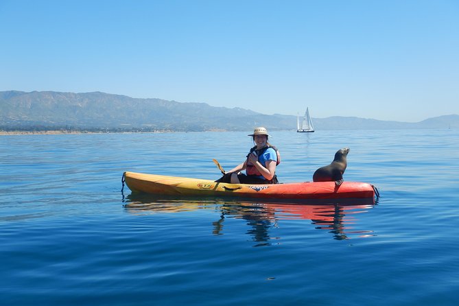Sea Lion Kayak Tour - Santa Barbara Harbor - What the two-hour route feels like