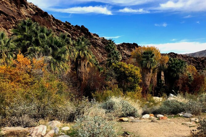Self Guided Driving Audio Tour of Palm Springs - Palm oases in a dry country