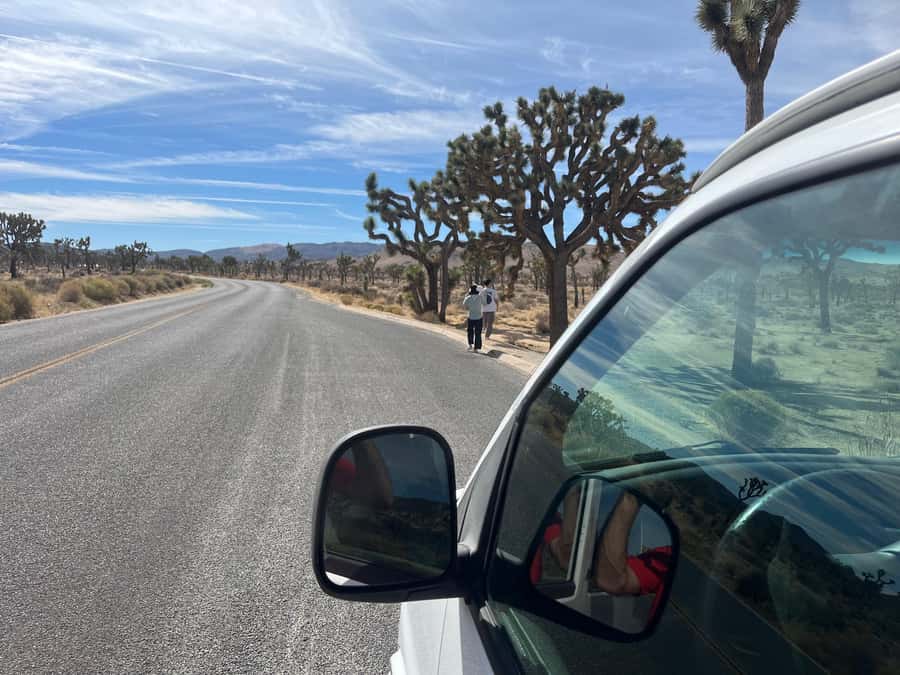 Sightseeing Adventure Tour of Joshua Tree Park (Max 10) - Key points to know before booking