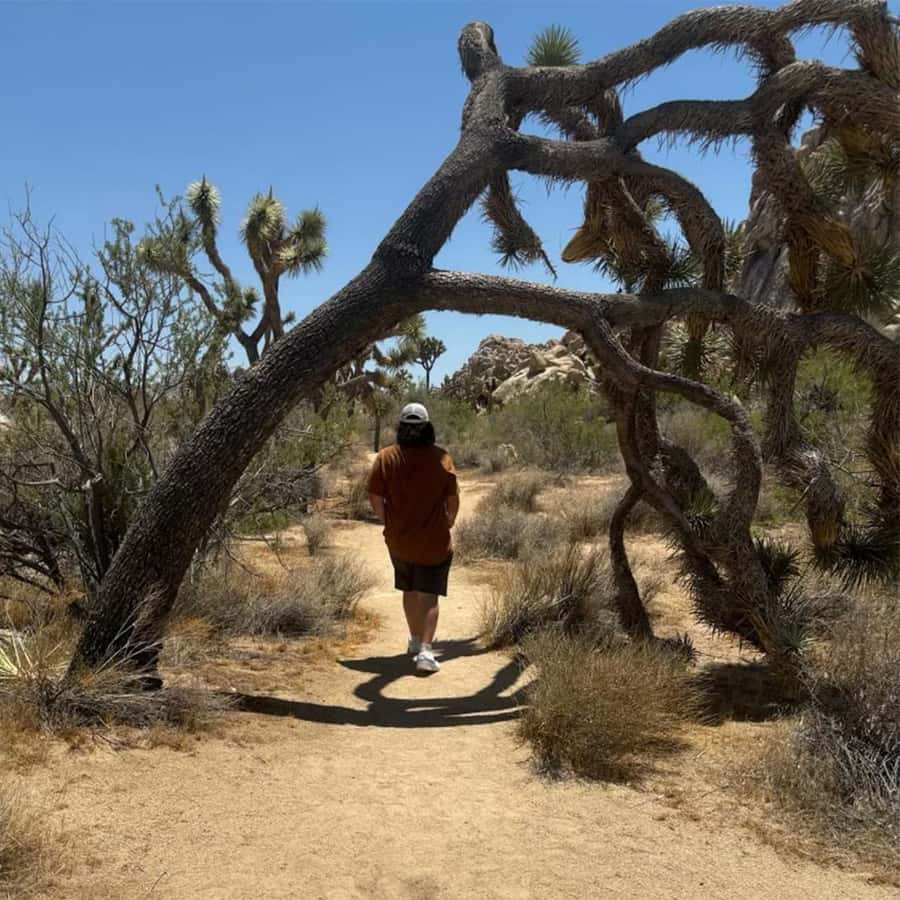 Sightseeing Adventure Tour of Joshua Tree Park (Max 10) - Should you book this Joshua Tree tour?