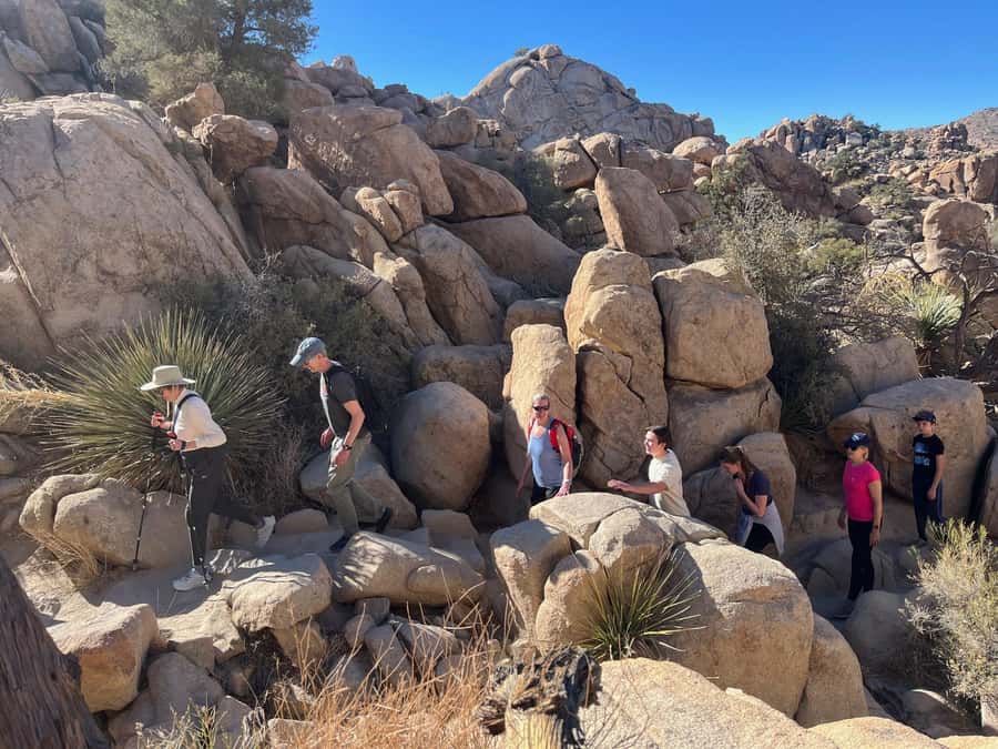 Sightseeing Adventure Tour of Joshua Tree Park (Max 10) - What the private Joshua Tree format gives you