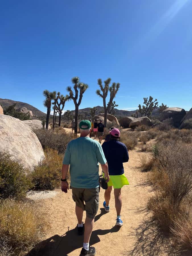 Sightseeing Adventure Tour of Joshua Tree Park (Max 10) - Keys View for the widest desert outlook