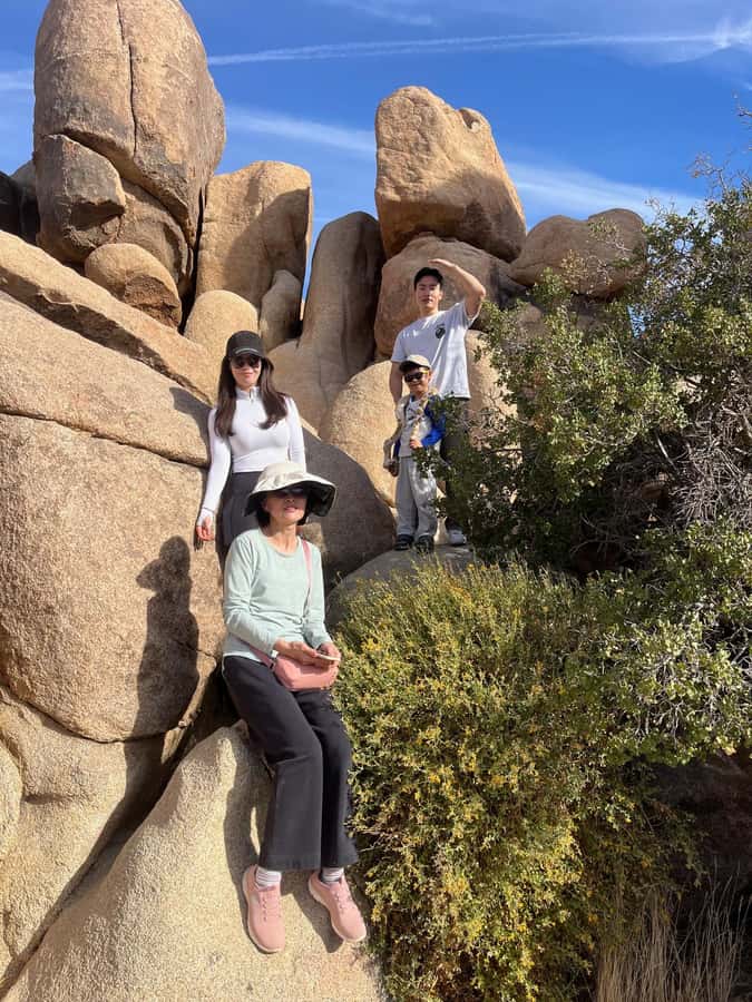Sightseeing Adventure Tour of Joshua Tree Park (Max 10) - Banana Cracks and Quail Springs rock formations