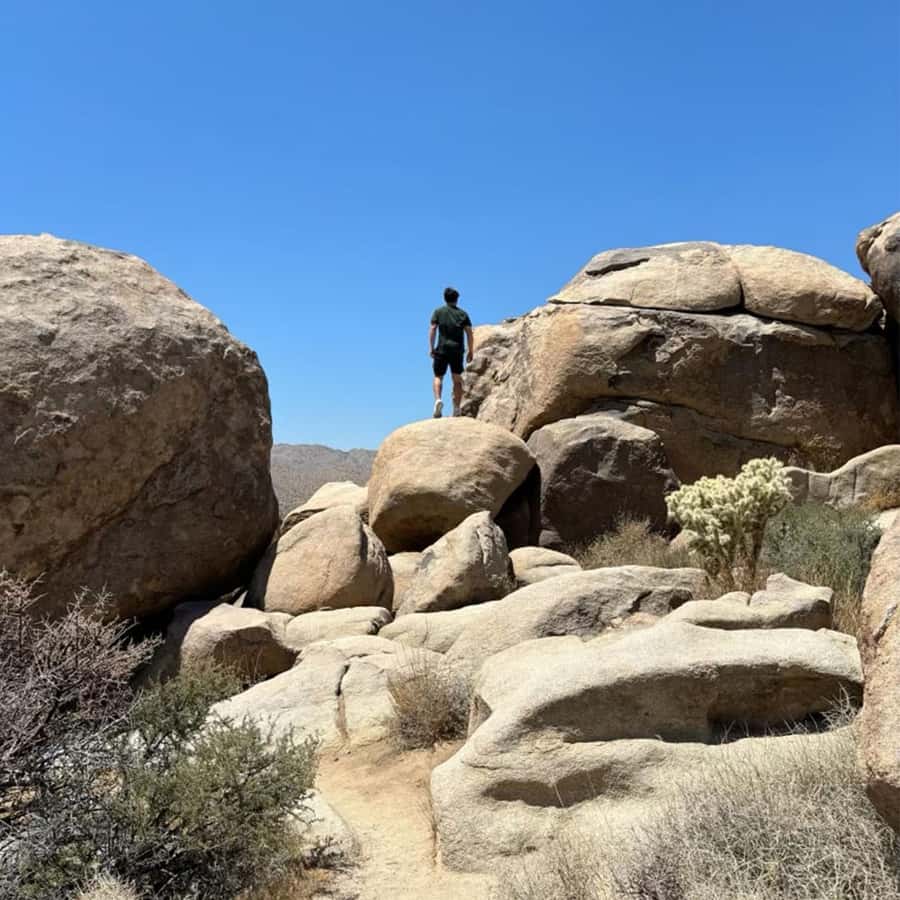 Sightseeing Adventure Tour of Joshua Tree Park (Max 10) - The guide and the practical pickup experience