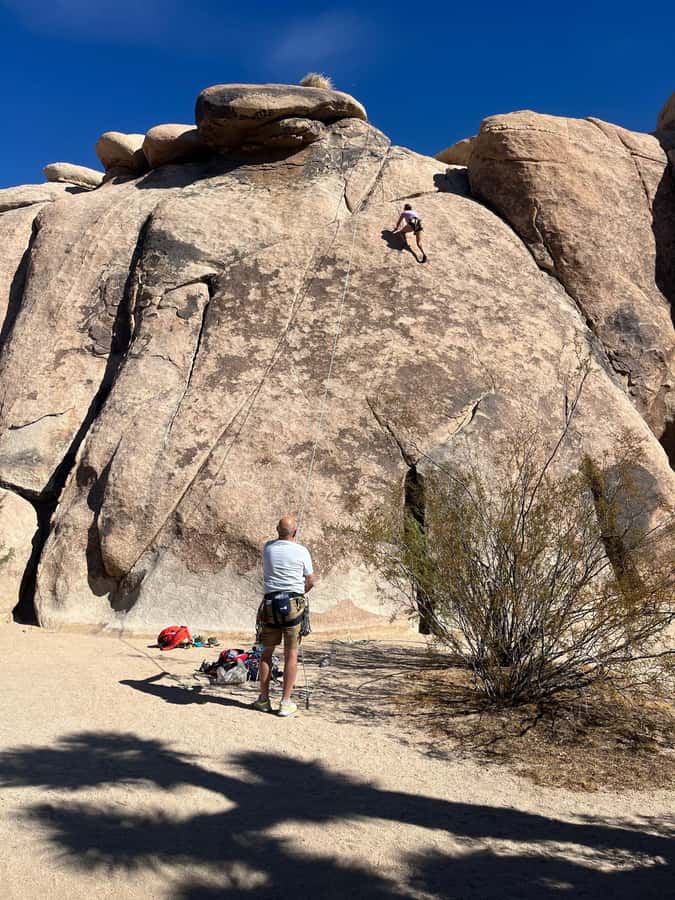 Sightseeing Adventure Tour of Joshua Tree Park (Max 10) - Who gets the best value from $679
