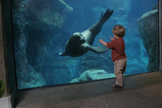 Skip the Ticketing Line: Aquarium of the Pacific General Admission Ticket - Lorikeets, touch pools, and hands-on activities