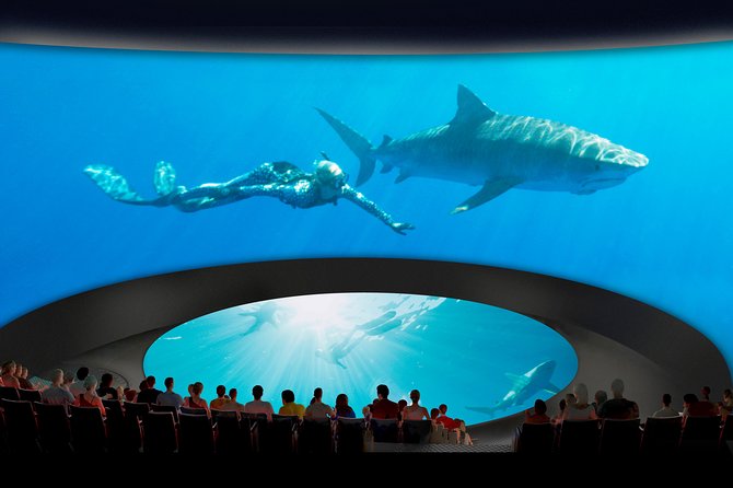 Skip the Ticketing Line: Aquarium of the Pacific General Admission Ticket - Food, accessibility, and practical details inside