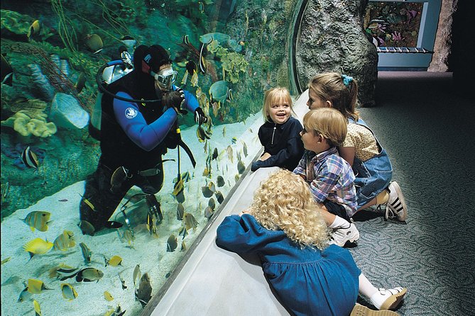Skip the Ticketing Line: Aquarium of the Pacific General Admission Ticket - Shark Lagoon and the large-animal highlights