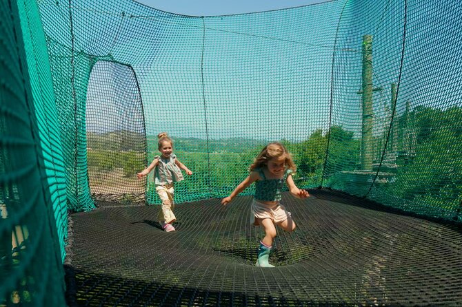 Skynet Playground - An Aerial Playground Among Buellton’s Oak Trees