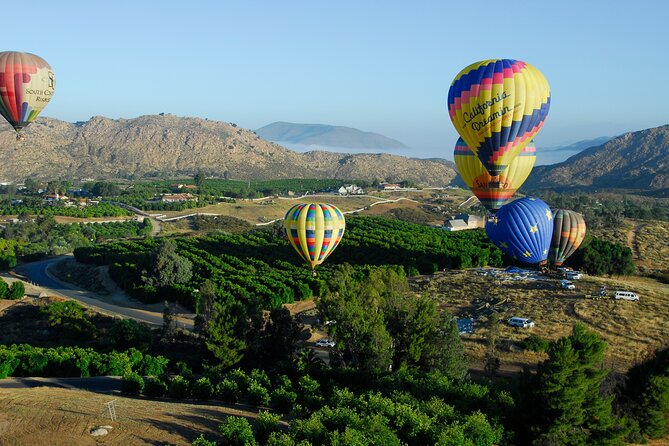 Skyward at Sunrise: A Premiere Temecula Balloon Adventure - Sunrise Over Temecula Wine Country