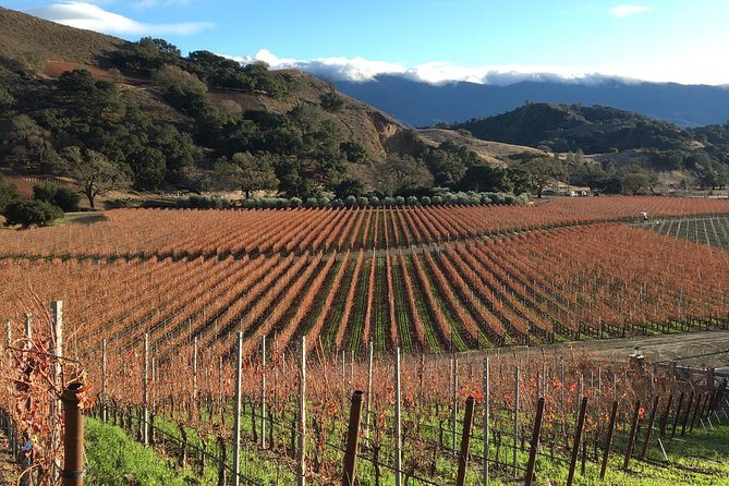 Small-Group Wine Tasting Tour of Santa Barbara Wine Country - What $235 actually buys you