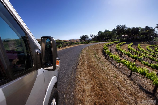 Small-Group Wine Tasting Tour of Santa Barbara Wine Country - Private estates instead of public tasting bars