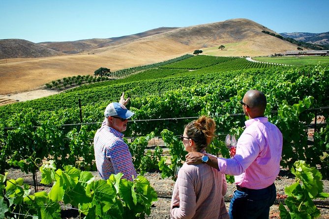 Small-Group Wine Tour to Private Locations in Santa Barbara - What the three-stop day feels like