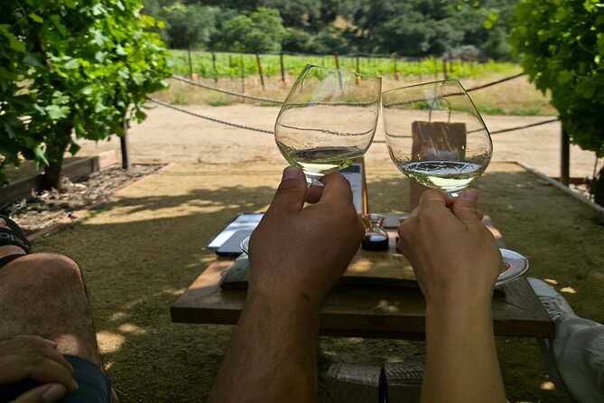 Solvang Ventura Wine Tour by Car - What the $400 price really covers