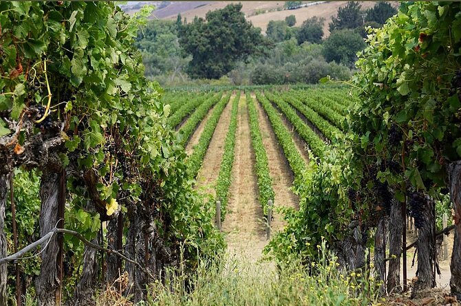 Solvang Ventura Wine Tour by Car - Pickup details that can save you time