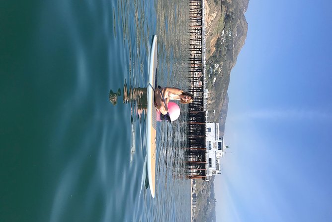 Stand up Paddle Board in Malibu - Wildlife sightings on the route
