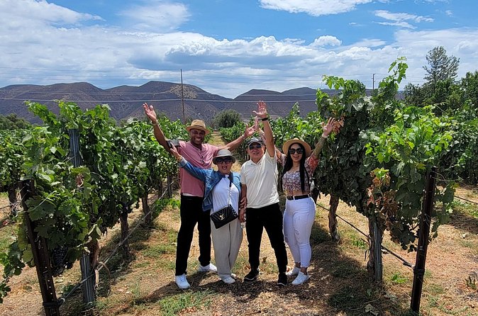 Sunday Special Wine Tour in Temecula Valley with Lunch - Who should book this Temecula wine tour?