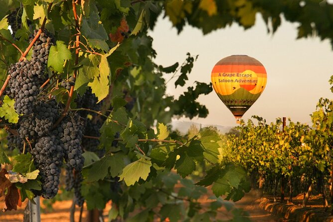 Sunrise Hot Air Balloon Flight over the Temecula Wine Country - Key details before you book