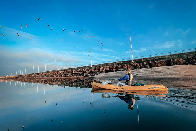 Sunset Kayak Tour in Santa Barbara Harbor (2 Hours) - Paddling past Stearns Wharf