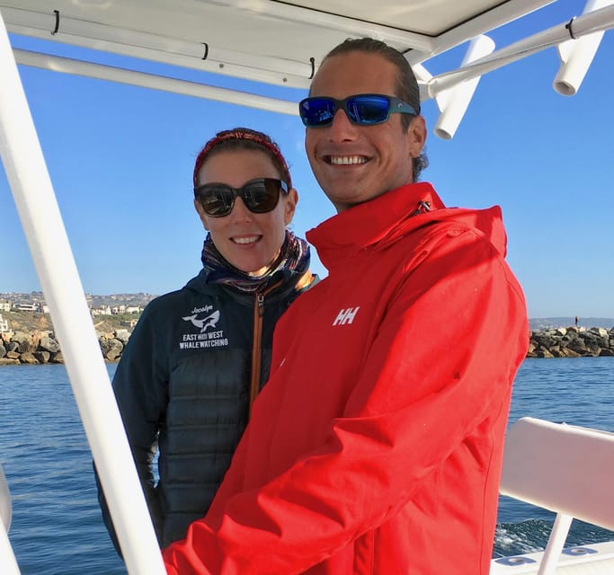 Superior 2hr Private Whale & Dolphin Watching Newport Beach - Looking for whales, sea lions, and other marine life