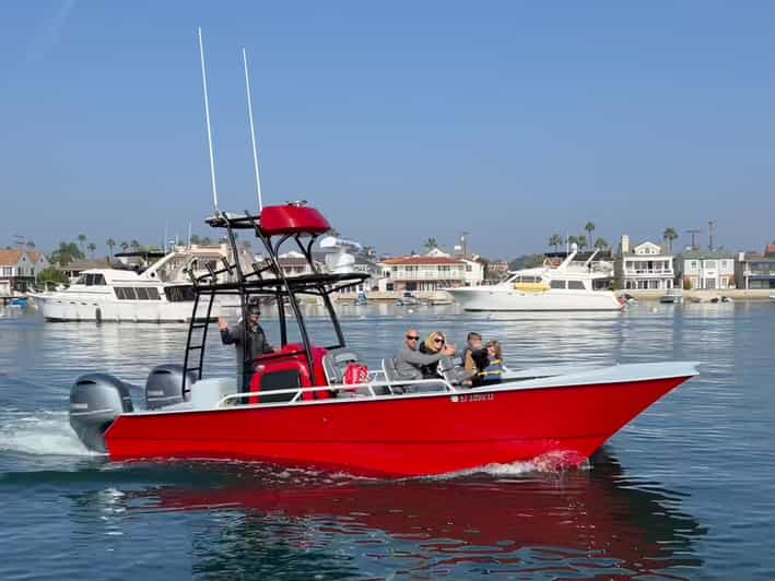 Superior 2hr Private Whale & Dolphin Watching Newport Beach - Is $495 a good value for six people?