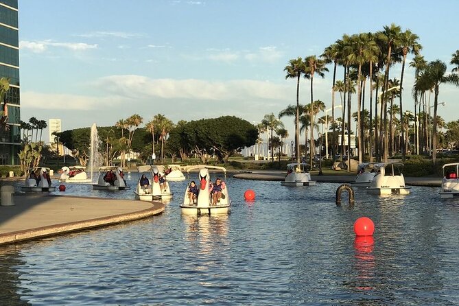 Swan Boat Rental at Rainbow Lagoon in Long Beach - Bringing a picnic, dog, or family group