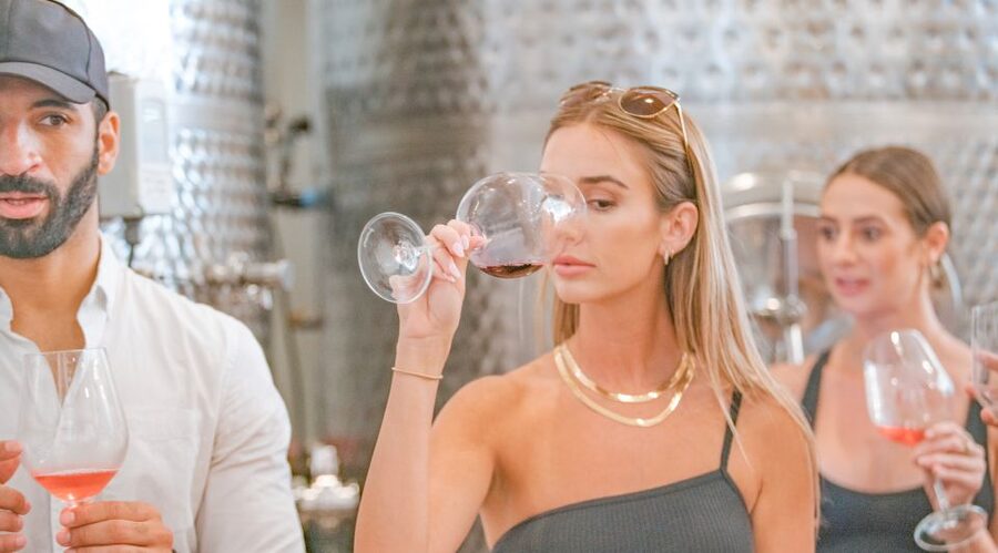 Temecula: Guided Sidecar Wine Tasting Tour - What the possible stops add to the day