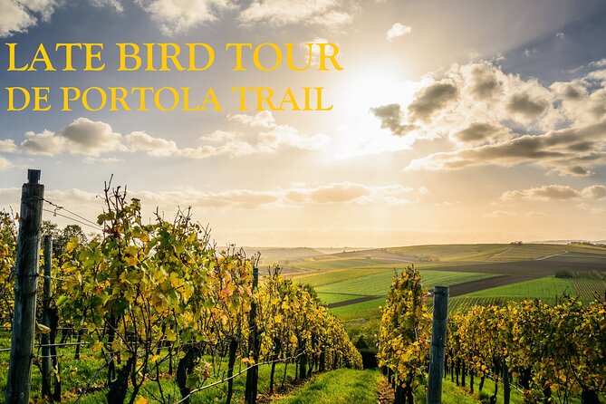 Temecula's Premier Wine Tasting Tour - Lunch choices at Maurice Car’rie or Oak Mountain