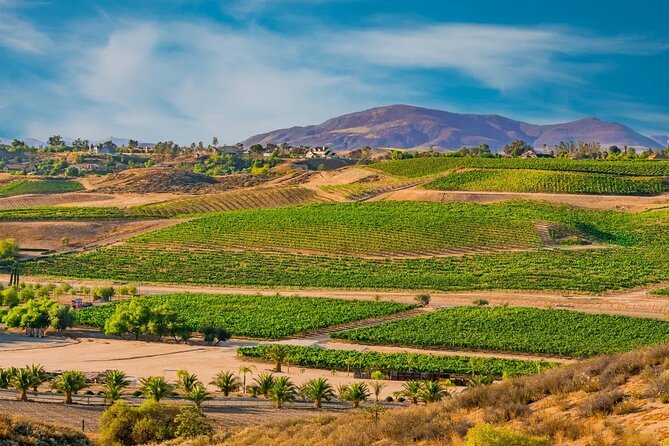 Temecula's Rancho California Wine Tour - Why this five-hour Temecula tour works well