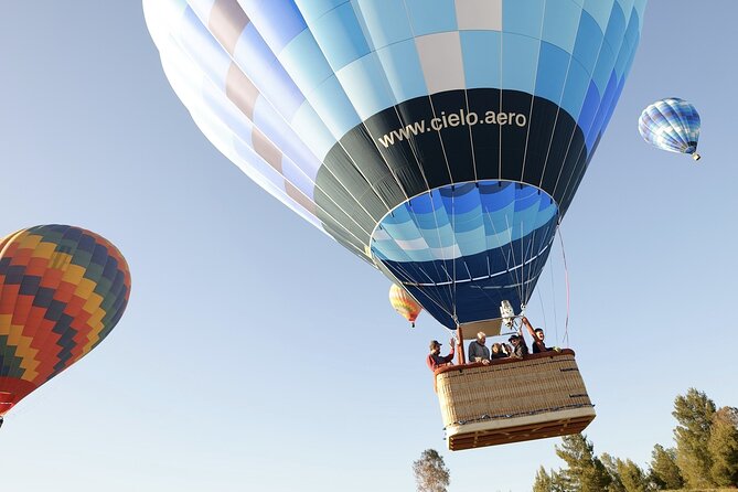 Temecula Shared Hot Air Balloon Flight - Key points to know before you book