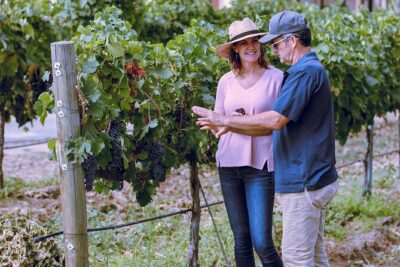 Temecula Valley 4-Hour Morning Wine Tour with Tastings Included