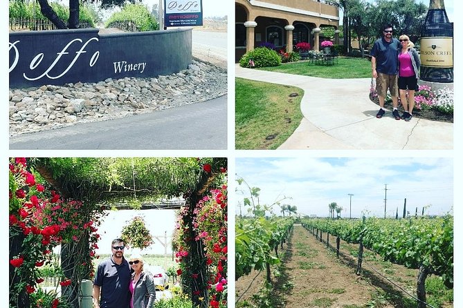 Temecula Valley Wineries and Vineyards Drink and Taste Tour From Orange County - Who will enjoy this Temecula wine tour most