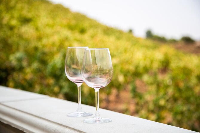 Temecula Wine Tour from Orange County - Why the no-driving day matters