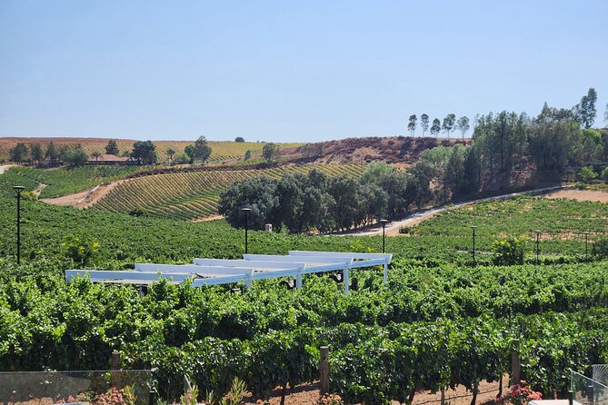 Temecula Wine Tour Voted Best! - What the $119 price gets you