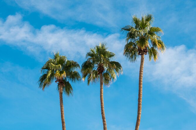 The Legends & Icons Tour of Palm Springs - Tramway, San Andreas Fault, and the bigger desert picture