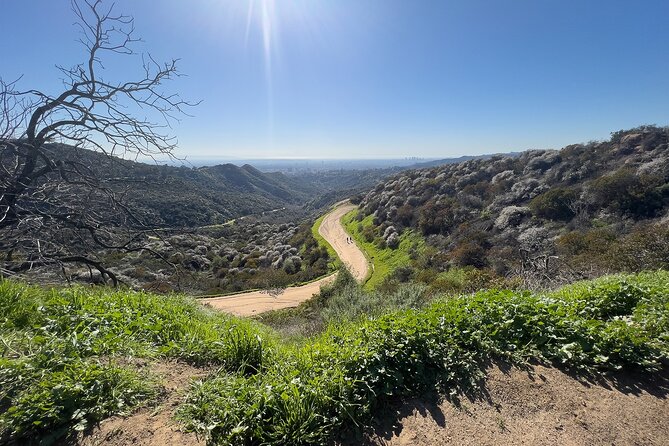The Premier Hollywood Sign Tour: Nature in the Heart of the City - What $55 buys you