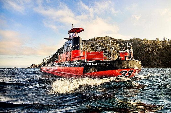 Undersea Expedition: Catalina Island Tour - Fish, kelp, and the feeding area