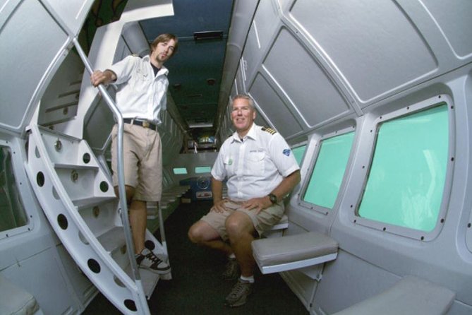 Undersea Expedition: Catalina Island Tour - Returning to Avalon with open-air views