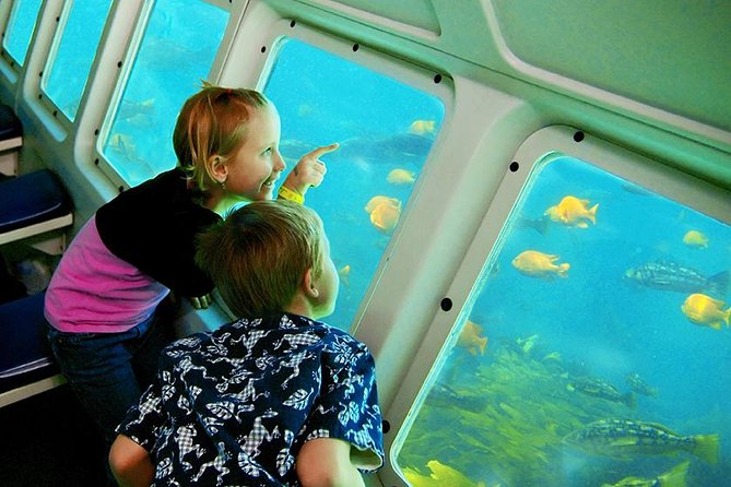Undersea Expedition: Catalina Island Tour - The semi-submersible ride below the waterline