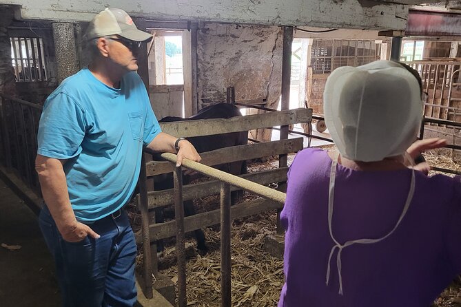 Unique Amish Immersion in Lancaster - The Witness farm in Strasburg