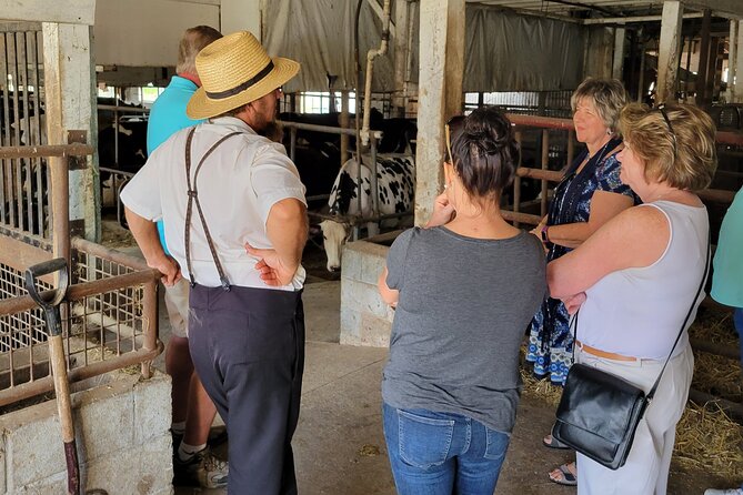 Unique Amish Immersion in Lancaster - Is $99 a fair price?