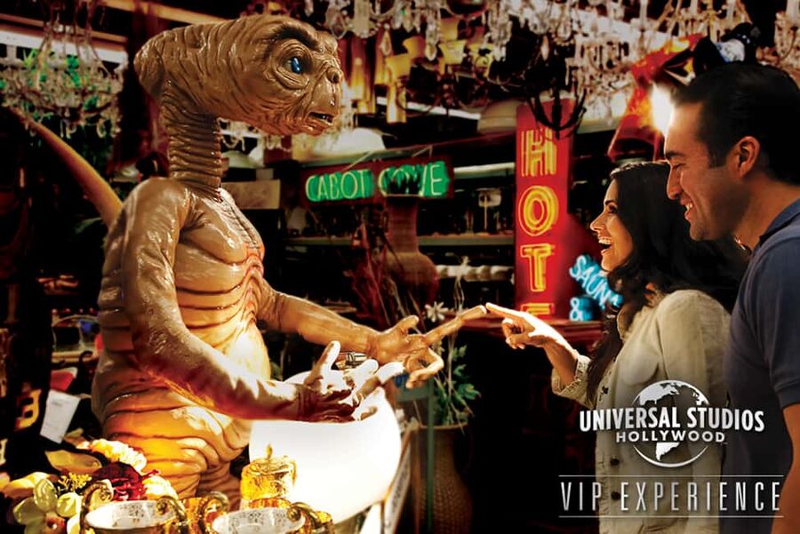 Universal Studios Hollywood: VIP Tour with Ticket - Who should book this VIP day?