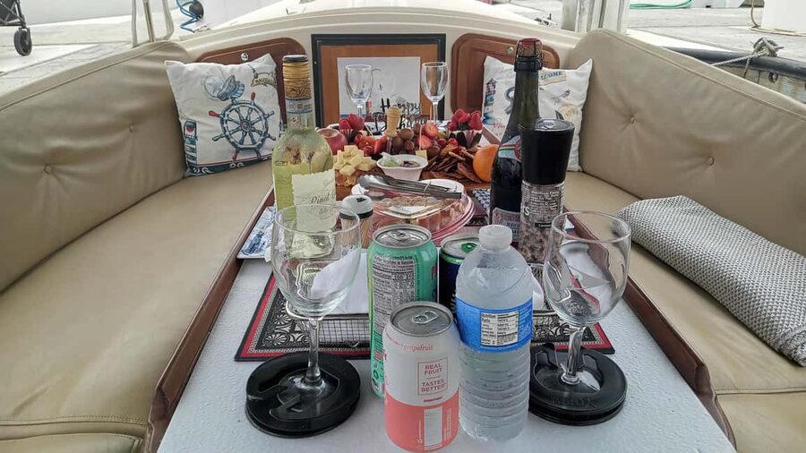 Venice Beach & Malibu View Boat Cruiser- Music Wine Sealions - Sealions, pelicans, and the value of slowing down