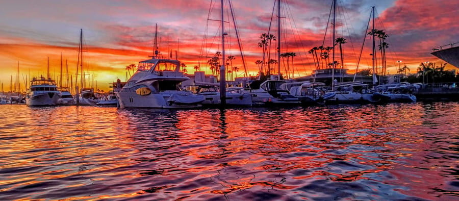 Venice Beach & Malibu View Boat Cruiser- Music Wine Sealions - Wine, charcuterie, and the music setup